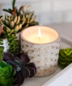 Soy Essentials LLC Garden Terrace Vanilla Orchid Concrete Candle New Arrivals