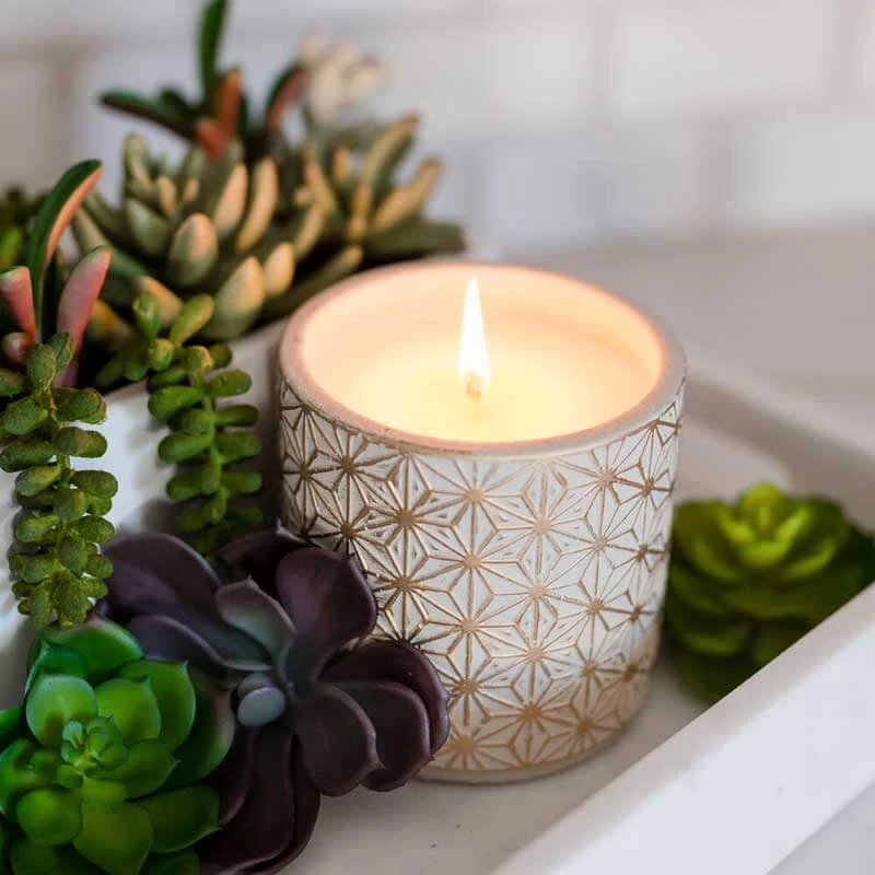Soy Essentials LLC Garden Terrace Vanilla Orchid Concrete Candle New Arrivals 2 Soy Essentials LLC Garden Terrace Vanilla Orchid Concrete Candle New Arrivals