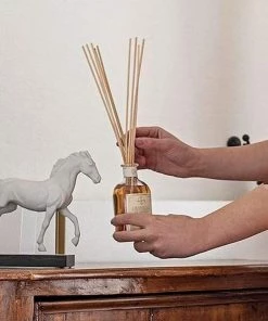 Logevy Firenze Etrusco Antico Reed Diffuser, 500ml