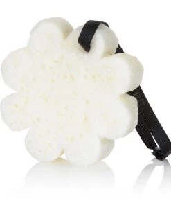 New Arrivals Peony Flower Boxed Flower By Spongellé